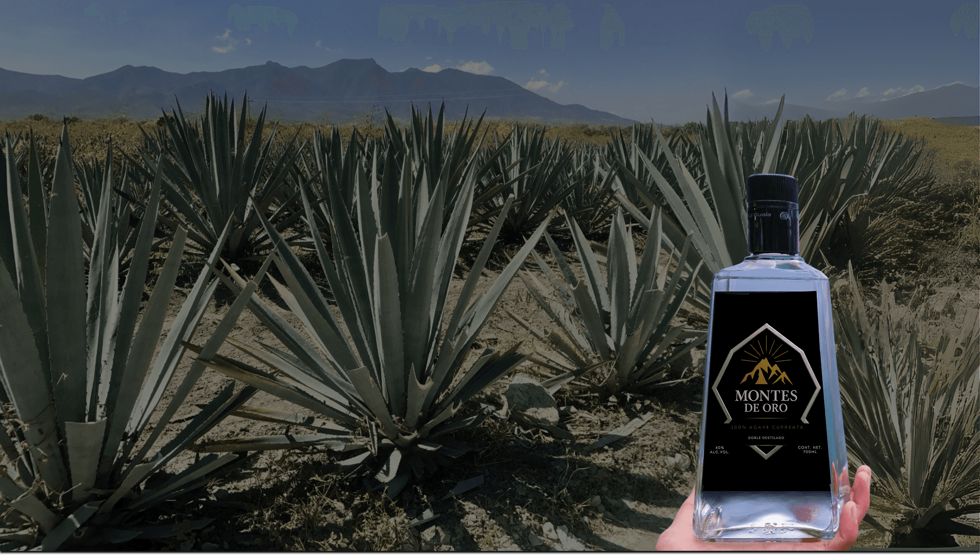 Mezcal Montes de Oro